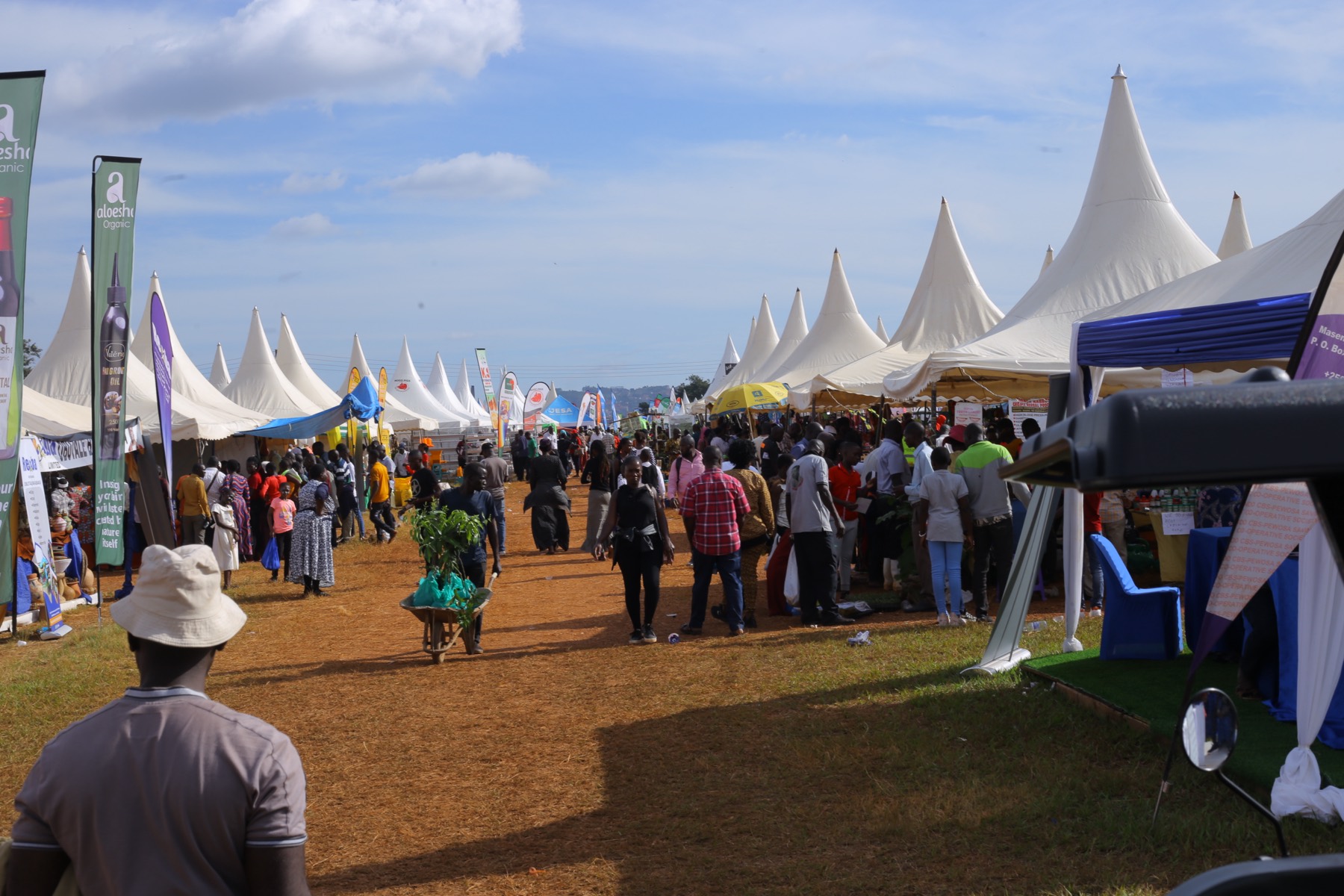 Agro-processing exhibitors showing produce at an expo