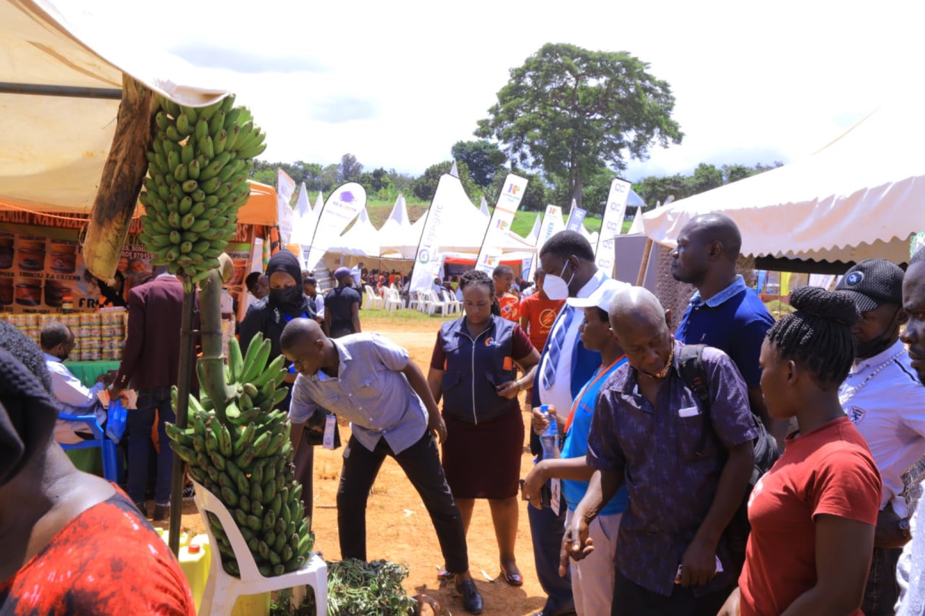 Even Expo Consults event photography